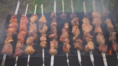 Cooking barbecue on brazier close up Stock Footage 96558773