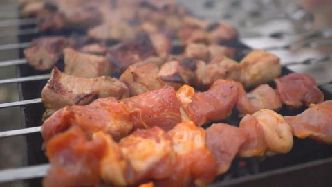 Cooking barbecue on brazier close up Stock Footage 96559429