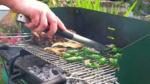 Cooking on a barbecue Stock Footage 290140025