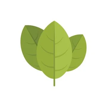 Cooking basil icon flat vector. Herb leaf Stock Illustration