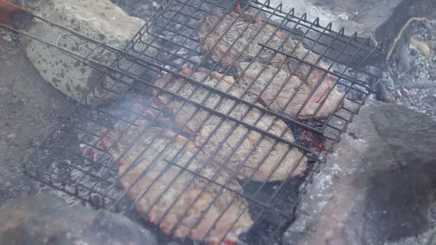 Cooking Beef Steaks on Campfire Stock Footage 303518070