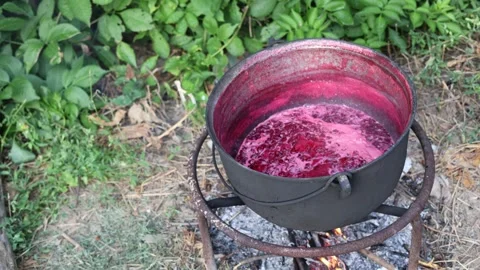 Cooking berry jam in a large cauldron over an open fire outdoors Stock Footage 338071087
