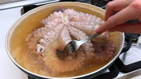 Cooking a big octopus with long tentacles in hot water in a white pot. Stock-Footage 79854069