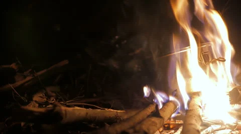 Cooking on the bonfire Stock Footage 49444435