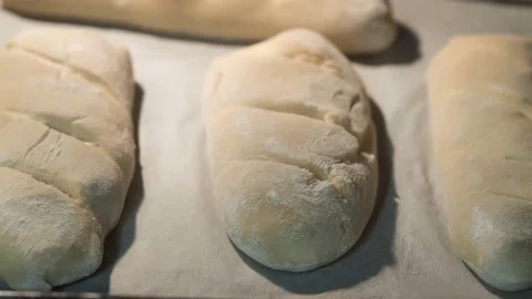 Cooking Bread time lapse in oven Stock Footage 136670600