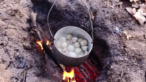 Cooking breakfast with quail eggs over an open fire Stock Footage 333844782