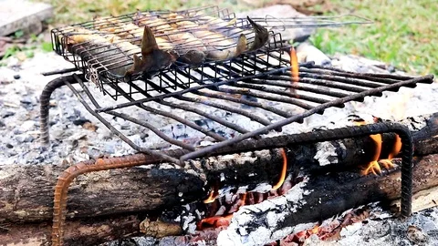 Cooking catfish fish on an open hot fire in Chiang Rai Northern Thailand Stock Footage 100360476