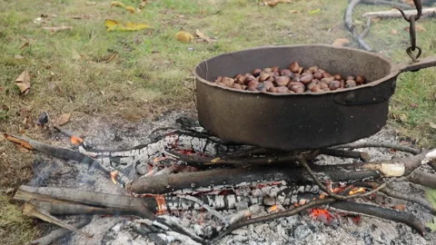 Cooking chestnuts in a pot over the open fire Video stock 142821816