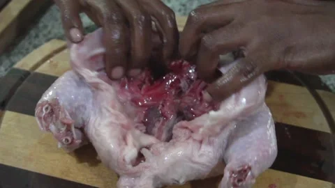 Cooking Chicken Stock Footage 220528888