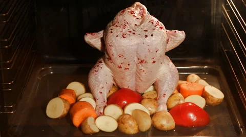 Cooking chicken in oven Stock Footage 63633592