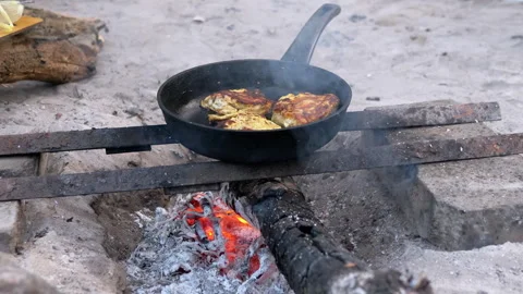 Cooking chicken over campfire Stock Footage 293262340