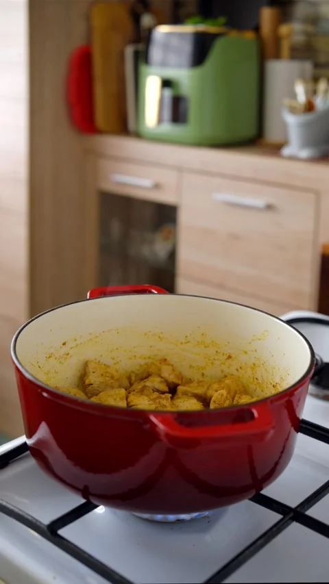 Cooking chicken in a red cast-iron pot on a stove in the kitchen during the d Stock Footage 335751409