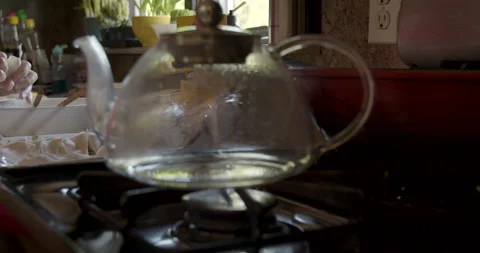 Cooking chinese dumpling Stock Footage 131919988