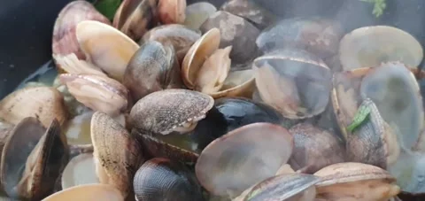 Cooking clams Stock Footage 233261993