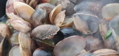 Cooking clams Stock Footage 233352768