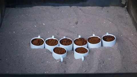 Cooking coffee sand Stock Footage 182066769