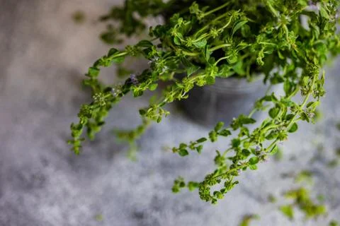 Cooking concept with herb Stock Photos
