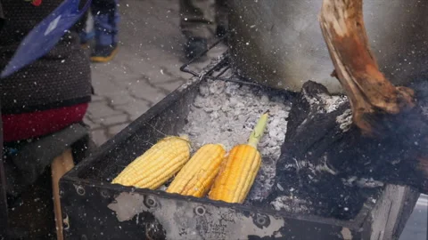 Cooking Corn on Coal Super Slow Motion Stock Footage 262165864