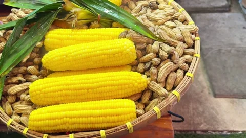 Cooking corn cobs and peanuts with smoke Stock Footage 339366228