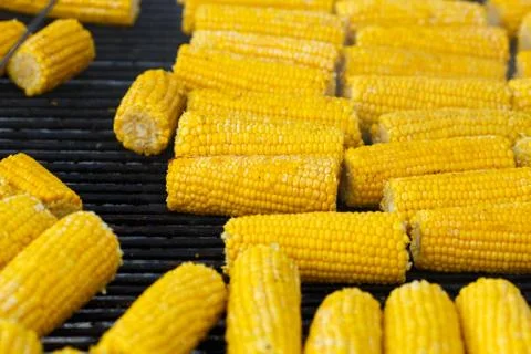 Cooking corn on the grill Stock Photos