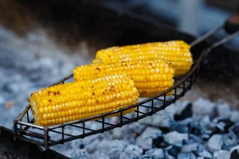 Cooking corn on the grill Stock Photos