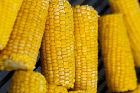 Cooking corn on the grill Stock Photos