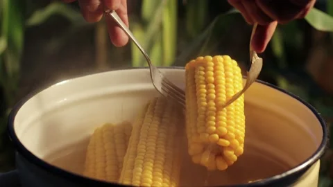 Cooking corn in nature in the evening. Close-up. 動画素材 221164981