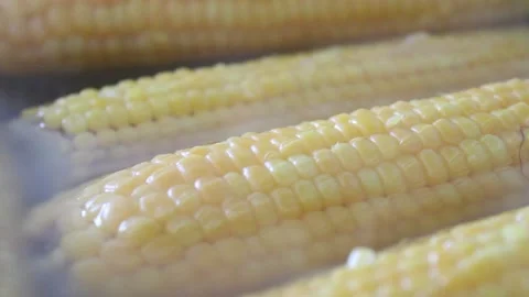 Cooking corn vegteables, close up of corn boiled in water Stock-Footage 162448888