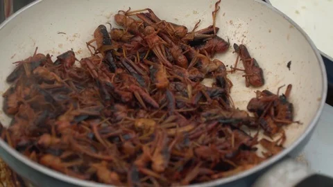 Cooking a cricket. Stock Footage 75864835