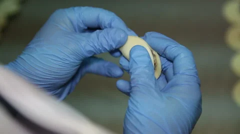 Cooking Dumplings with Beef. Stock Footage 65724089
