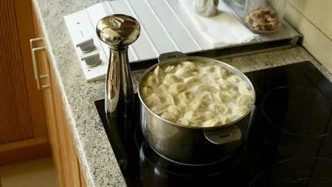 Cooking Dumplings on an Induction Stove Stock-Footage 314710950