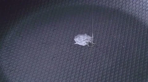 Cooking eggs Stock Footage 21231062