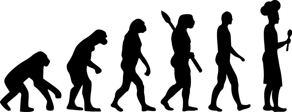 Cooking Evolution Stock Illustration