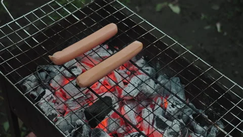 Cooking by fire. Closeup of hand placing sausages on fiery glowing coal bed Stock Footage 341669566