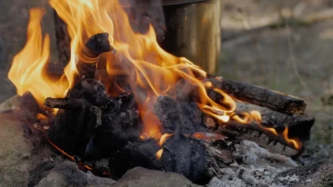 Cooking on fire Video stock 88720229