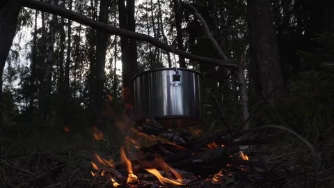 Cooking on fire in the forest Stock Footage 92999173