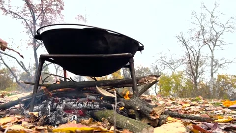 Cooking on fire in the forest. Tourists make food on a fire in the forest Stock Footage 263730464
