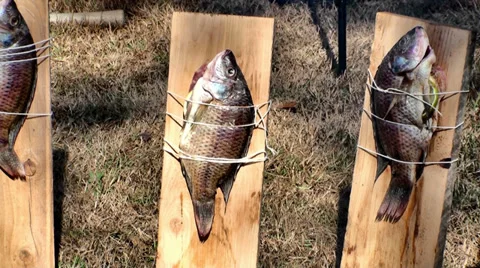 Cooking fish on a board Stock Footage 32844885