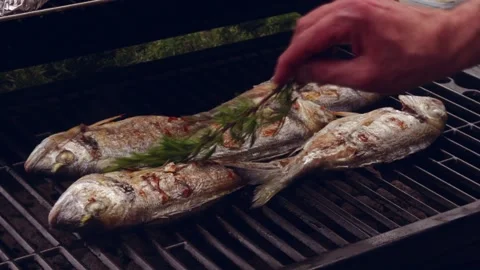 Cooking fish on a grill Video stock 191671743