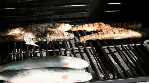 Cooking fish on the grill in sunshine Stock Footage 145194005