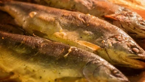 Cooking fish grilled Stock Footage 69224102