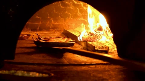 Cooking fish in oven 2 Stock Footage 294124355