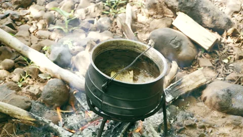 Cooking Fish in Pot on Campfire Stock Footage 134482696