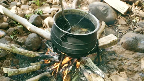 Cooking Fish in Pot on Campfire Stock Footage 134499331