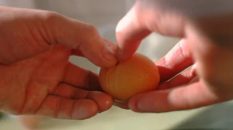 Cooking 無料動画素材 350811