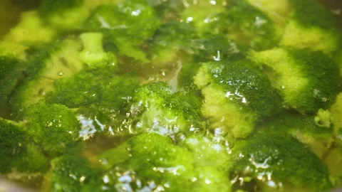 Cooking fresh broccoli Stock Footage 169397574