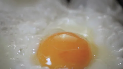 Cooking Fresh Chicken Egg On Oily Frying Pan. Close Up. Stock Footage 313124305