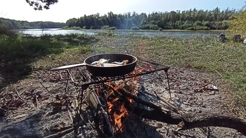 Cooking fresh fish catch. Successful fishing. Delicious dish fried over fire Video stock 142895074