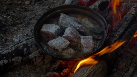 Cooking fresh fish on the open fire Stock Footage 154646531