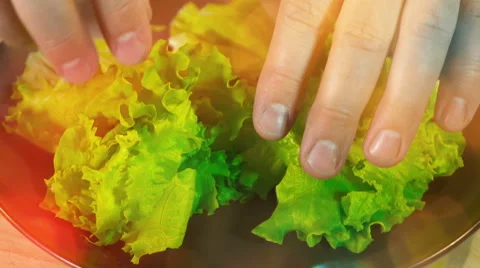 Cooking fresh mixed salad time lapse Stock Footage 61783801